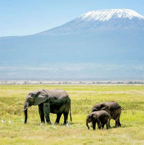 East Africa